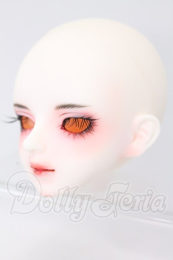 画像3: LUTS/Kid Delf　2024　WINTER イベントヘッド I-26-06-18-431-KD-ZI (3)
