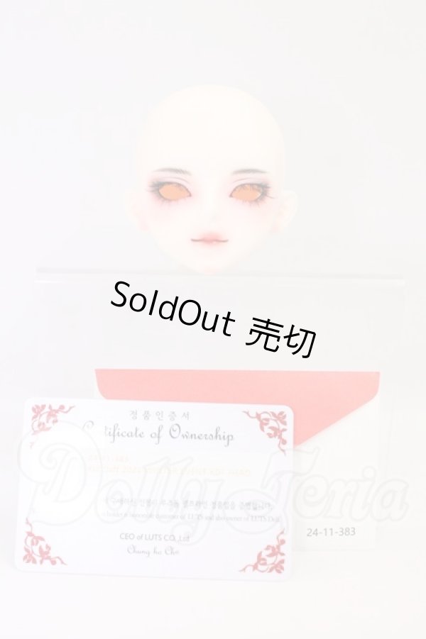 画像4: LUTS/Kid Delf　2024　WINTER イベントヘッド I-26-06-18-431-KD-ZI (4)