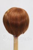 画像2: 8-9inch/ウィッグ I-26-06-25-393-KD-ZI (2)