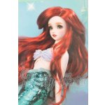 画像: SDGr/アリエル:ディズニーコレクション I-26-06-25-452-KD-ZI