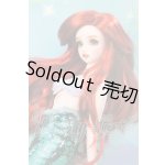 画像: SDGr/アリエル:ディズニーコレクション I-26-06-25-452-KD-ZI