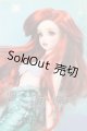 画像: SDGr/アリエル：ディズニーコレクション I-26-06-25-452-KD-ZI