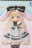 画像1: SugarCups(シュガーカップス)/キャンディールル~Star Sprinkles~ I-26-06-25-101-KD-ZI (1)