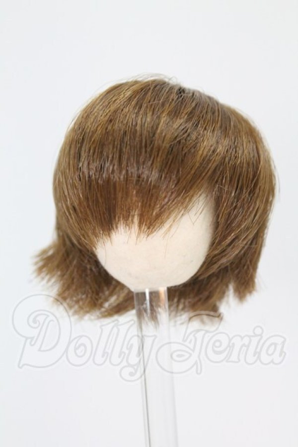 画像1: 3.5inch-4inch/ウィッグ I-26-07-02-089-KD-ZI (1)