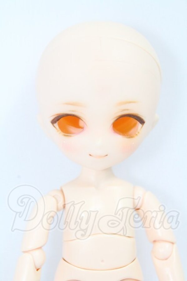 画像1: PARABOX/PB21-03ヘッド+オビツ11ボディ I-26-07-02-062-KD-ZI (1)