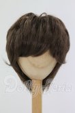 画像1: 8-9inch/ウィッグ I-26-07-02-249-KD-ZI (1)