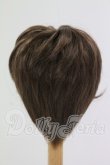 画像2: 8-9inch/ウィッグ I-26-07-02-249-KD-ZI (2)