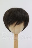 画像1: 8-9inch/ウィッグ I-26-07-02-248-KD-ZI (1)