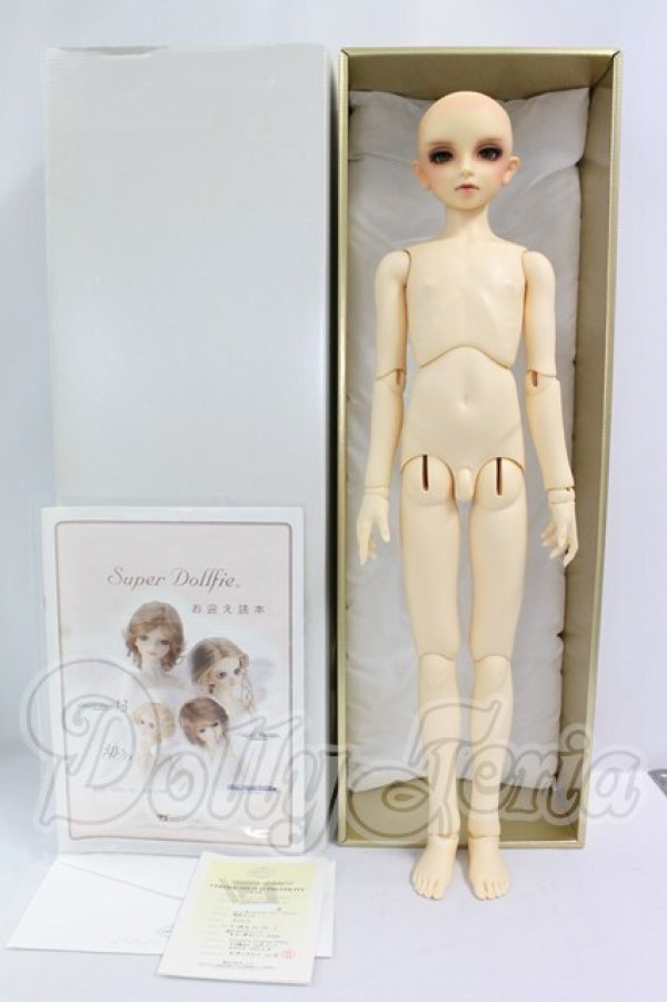 画像4: SD13BOY/ワンオフモデル：セシル I-26-07-02-255-KD-ZI (4)