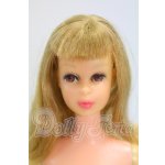 画像: Barbie/ヴィンテージフランシー I-26-07-09-159-KD-ZI