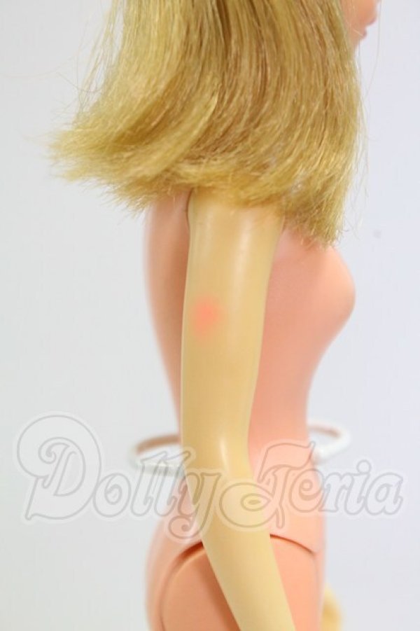 画像8: Barbie/ヴィンテージフランシー I-26-07-09-159-KD-ZI (8)