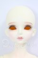 画像: MYOUDOLL/1/4/Delia I-26-07-09-265-KD-ZI