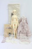 画像4: MYOUDOLL/1/4/Delia I-26-07-09-265-KD-ZI (4)