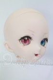 画像3: DD/DDH-10カスタムヘッド I-26-07-16-054-KD-ZI (3)