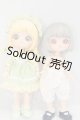 画像: SIMONTOYS LIRORO リロロ　夏日の島 I-26-07-23-163-KD-ZI