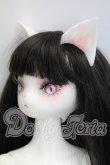 画像2: DEAR MINE/PRISCILLA ~Inspiration~  I-26-07-23-249-KD-ZI (2)