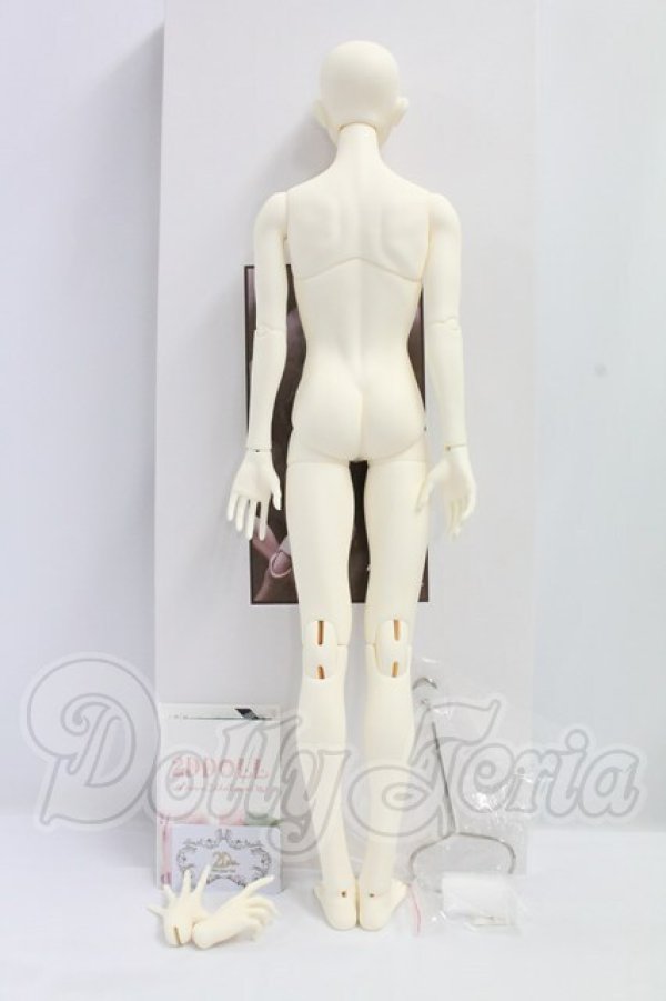 画像7: 2DDOLL/Berg I-26-07-23-250-KD-ZI (7)