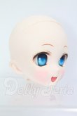 画像3: DD/DDH-10カスタムヘッド I-26-07-30-119-KD-ZI (3)