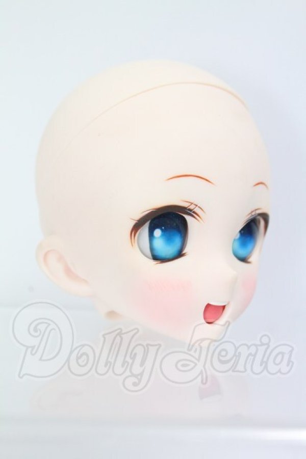 画像3: DD/DDH-10カスタムヘッド I-26-07-30-119-KD-ZI (3)