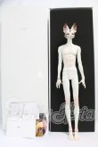 画像4: DOLLZONE/Feather Fox I-26-07-30-208-KD-ZI (4)