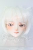 画像1: DD/DDH-07カスタムヘッド I-26-07-30-204-KD-ZI (1)