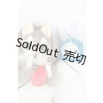 画像: アートドール/KAORI様製 animal doll I-26-07-23-251-KD-ZI
