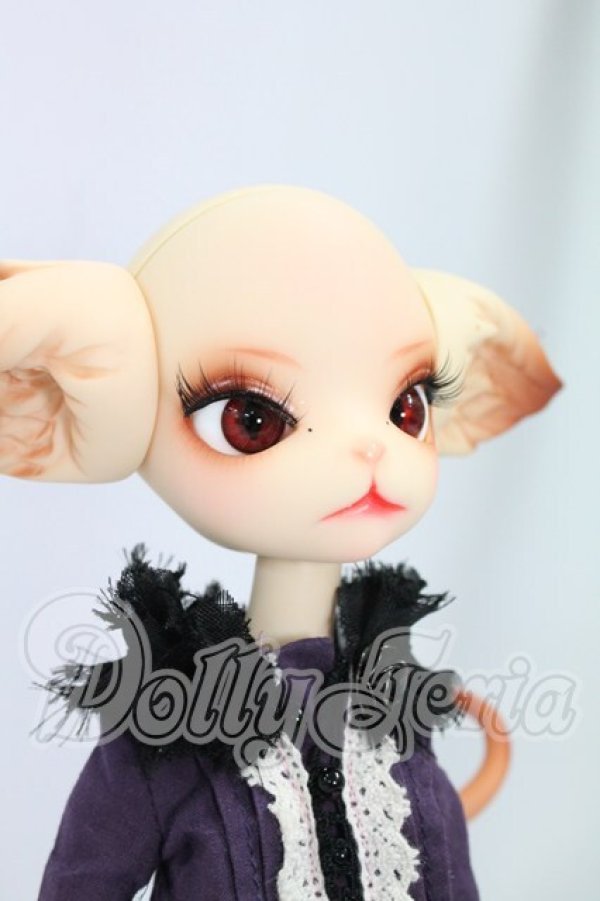 画像3: Dollzone/Miss Kitty I-26-07-30-213-KD-ZI (3)