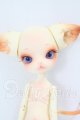 画像: dollzone/minikitty I-26-07-30-214-KD-ZI