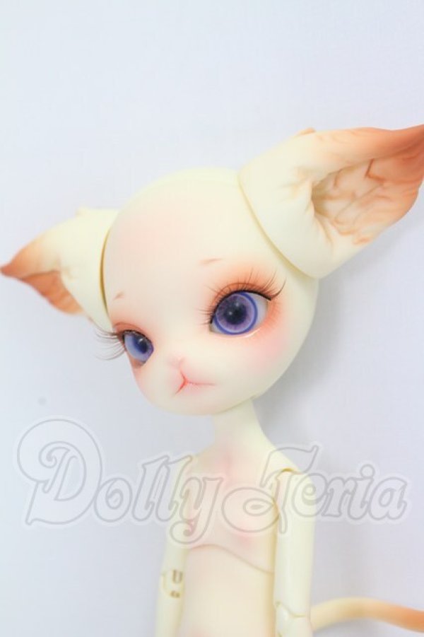 画像2: dollzone/minikitty I-26-07-30-214-KD-ZI (2)