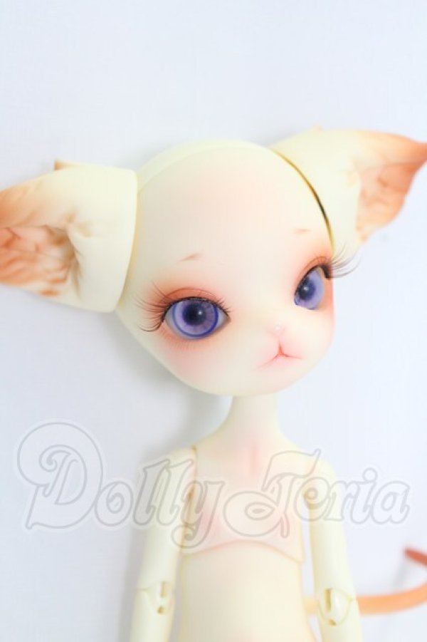 画像3: dollzone/minikitty I-26-07-30-214-KD-ZI (3)