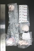 画像2: TENCYスタジオ「光と影：光翼学院」1/8 スケール BJDブラインドドール シリーズ I-26-07-30-285-KD-ZI (2)
