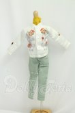 画像1: MDD/OF:衣装セット I-26-08-06-104-KD-ZI (1)