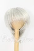 画像1: 7-8inch/ウィッグ I-26-08-06-136-KD-ZI (1)