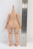 画像2: imomodoll/1/6ボディ/海外キャストドール I-26-08-06-086-KD-ZI (2)