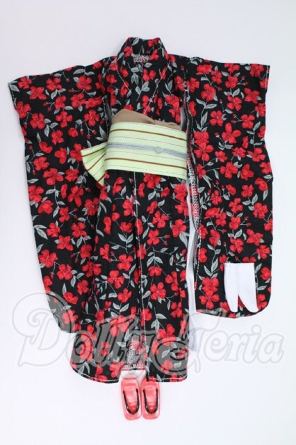 画像1: ジェニー/OF:リトルファクトリー製衣装 I-26-08-06-178-KD-ZI (1)