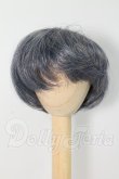 画像1: 6-7inch/ウィッグ I-26-08-13-385-KD-ZI (1)