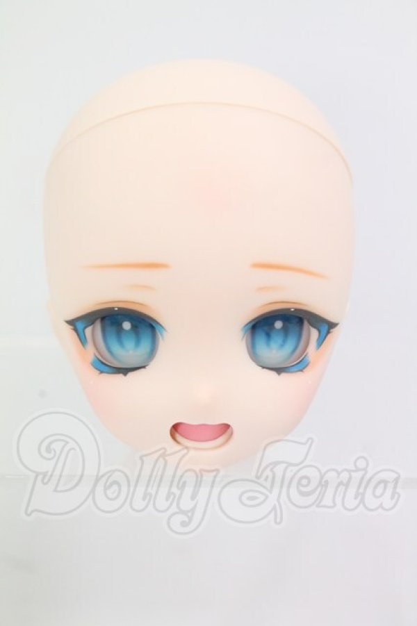 画像1: DD/DDH-27 (カスタマー様)カスタムヘッド I-26-08-13-106-KD-ZI (1)