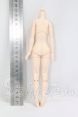 画像2: オビツボディ/オビツボディver.2 24cm I-26-08-13-368-KD-ZI (2)