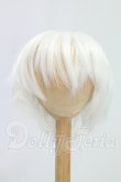 画像1: 8.5inch/ウィッグ I-26-08-20-103-KD-ZI (1)