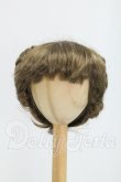 画像1: 9-10inch/ウィッグ I-26-08-20-102-KD-ZI (1)