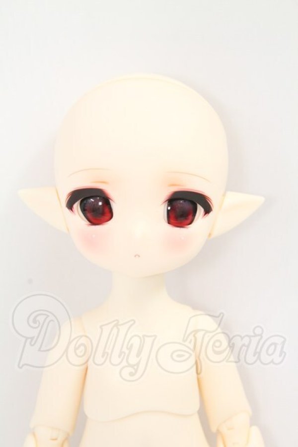 画像1: tinyfox/【Vampire・Countess】吸血鬼女伯爵 パンドラ I-26-08-13-430-KD-ZI (1)