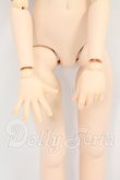 画像3: MDD/カスタムベースボディ I-26-08-13-439-KD-ZI (3)
