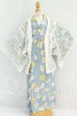 画像1: DD/温泉浴衣　TOAClaris様製 I-26-08-27-375-KD-ZI (1)