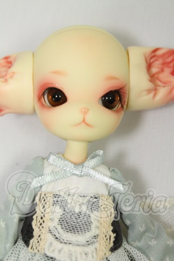画像2: DOLLZONE/Mini Kitty I-26-08-13-403-KD-ZI (2)