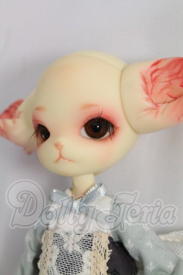 画像3: DOLLZONE/Mini Kitty I-26-08-13-403-KD-ZI (3)