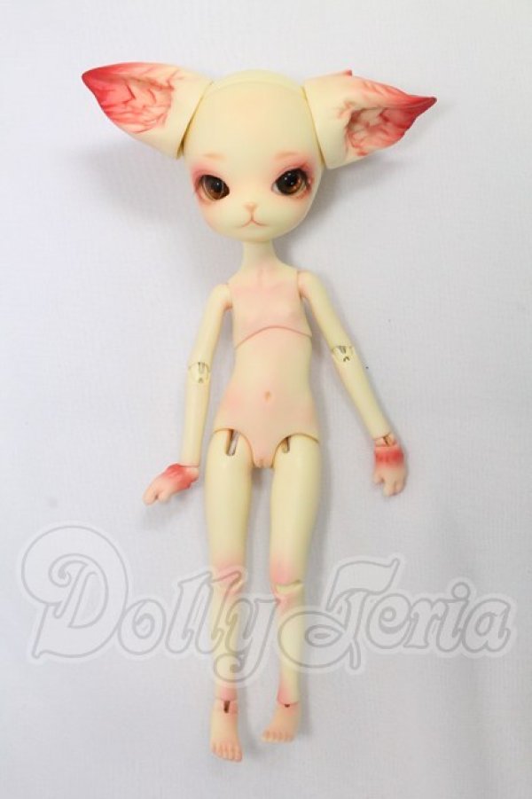 画像6: DOLLZONE/Mini Kitty I-26-08-13-403-KD-ZI (6)