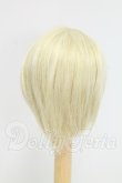 画像2: 7-8inch/ウィッグ BJD　CROBI I-26-08-20-107-KD-ZI (2)