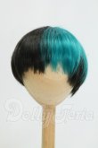 画像1: 8.5inch/ウィッグ I-26-08-20-109-KD-ZI (1)