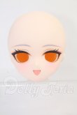 画像1: DDH-01/カスタムヘッド I-26-08-20-416-KD-ZI (1)