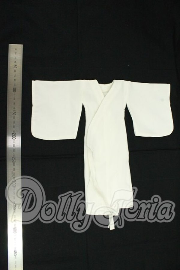 画像3: MSD&MDD/OF 着物用インナー・ミニ(VOLKS製) I-26-08-27-213-KD-ZI (3)
